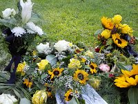 IMG 20170807 182952