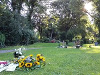IMG 20170807 183036