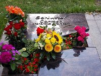 IMG 20180718 171742