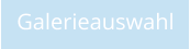 Galerieauswahl